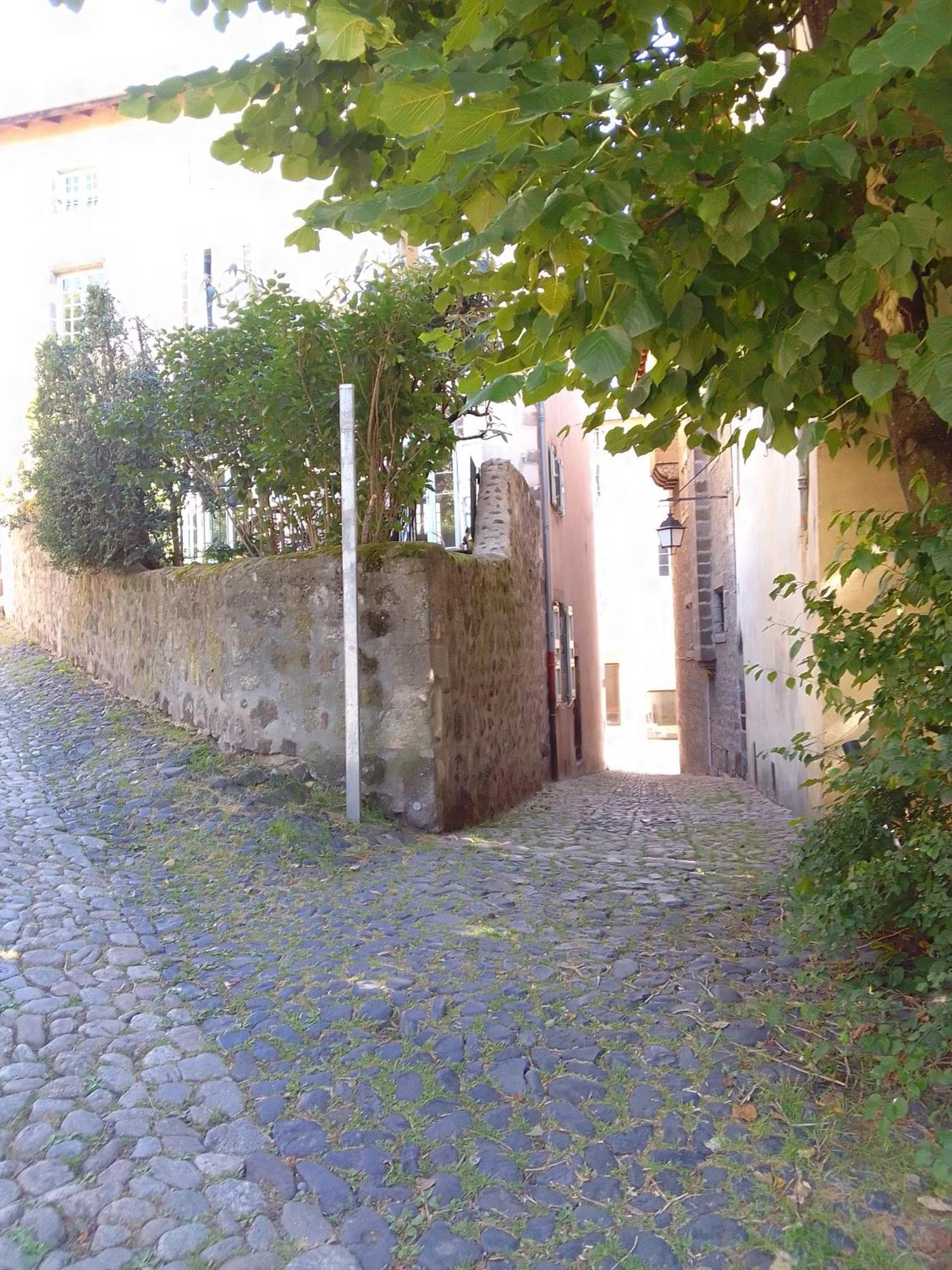Le Puy-en-Velay Le Relax Max 아파트 객실 사진